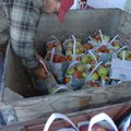 <b>Still fruitful</b> Chris Pyeatte sacks bags of apples Friday at the Apple House in Appletown near...