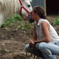 Frances Gibbins kisses Misty, a Welsh cross pony, last week at Clear Creek Farm Equine Rescue near C...