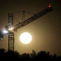 <b>Moon over Crystal Bridges</b>
The moon, less than 24 hours from its full state, set over Bentonv...