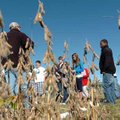 Upton Siddons, left, a University of Arkansas research assistant for soybean physiology, talks to Br...