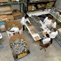 A group of volunteers for Kraft Foods worked in one corner of the Northwest Arkansas Food Bank in Be...