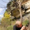 Gus Gustason used a magnifying loop to examine a piece of limestone from the Boone formation that is...