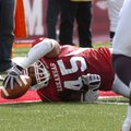Arkansas junior tight end D.J. Williams leans into the end zone for a touchdown against Auburn on Sa...