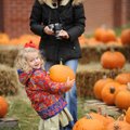 Ella Plummer, 3, smiles at her father as she picks up a pumpkin. Meanwhile her mother, Christy Plumm...