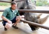 Animal keeper Justin Smith checks on Dudley, a 42-year-old white rhinoceros, at the Little Rock Zoo on Thursday. 