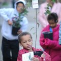 Isaiah Wilkins, 6, carries a Red maple Saturday after he and his family picked out trees to plant du...