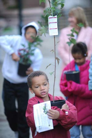 Isaiah Wilkins, 6, carries a Red maple Saturday after he and his family picked out trees to plant during the Re-LEAF Fayetteville Project on the Fayetteville Square. The city’s Tree and Landscape Advisory Committee and Parks and Recreation and Urban Forestry divisions made 900 trees available to Fayetteville residents in an effort to replenish the town’s urban forest canopy in the wake of the destruction of the January ice storm. 