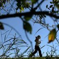Lori Morris of Bella Vista is framed by the turning foliage as she jogs the trail around Lake Bella ...