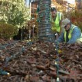 Kevin Jones, right, and Jacob Denton, with the Fayetteville Parks and Recreation Division, lay out C...