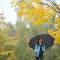 University of Arkansas nursing student Emily Eggart, of Lafayette, La., walks under an umbrella west...