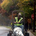 Glenn Munstermann of the Bentonville Public Works Department blows fallen leaves Thursday from a pat...