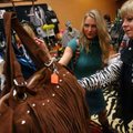 Pam Barrett and her daughter Jennifer Cullum, both of Bentonville, shop Thursday at the Dragonflies ...
