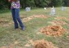 Theresa Kersey stands next to holes drilled in the ground near headstones at the Gray Cemetery north of Floyd in White County. Caretakers of the cemetery say an adjacent landowner has tried to fence off a portion of the cemetery he believes he owns.