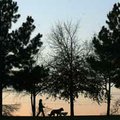Outlined walkers Ony Banning of Springdale walks her dogs Jack and Lilah as the sun sets Sunday over...