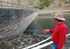 Engineer Richard Dee Purkeypile points at an 8-foot section of the Black Bass Lake dam, which was added in 1915. Mortar from the 1915 addition to the dam built in 1894 has been washing away, causing the dam to leak.