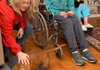 Jack and Melba Decker’s dog, Harvey, gets a dog treat from Bobbie Aldridge in their home in Bentonville on Saturday. Aldridge and her mother, Loretta DePriest, drive around the county once every two weeks to help feed pets whose owners have difficulty traveling to buy pet food.