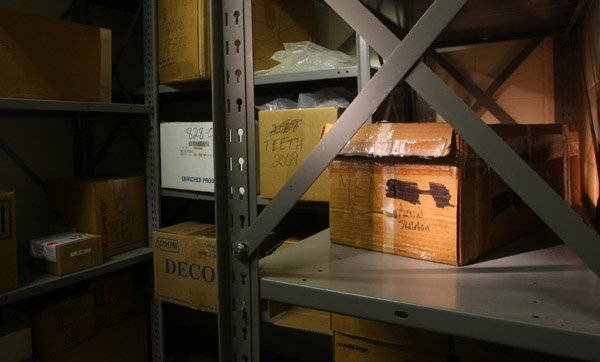the-bones-of-a-young-girl-found-in-1991-in-woods-off-archwood-park-road-lie-in-a-battered-cardboard-box-at-right-in-the-state-medical-examiners-basement-bone-room-the-bones-remained-undisturbed-in-the-storage-closet-located-at-the-west-little-rock-state-crime-laboratory-for-more-than-a-decade