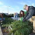 Bob Harlan, president of the Fayetteville Evening Lions Club, right, works Friday to remove the bind...