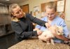 Carrie Jones, office manager for the Animal Services Division, left, injects a microchip beneath the skin of an adult Maltese being picked up for adoption Thursday at the Fayetteville Animal Shelter.