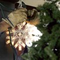 Gary Cash with the City of Rogers Street Department hangs snowflake lights Monday afternoon along th...