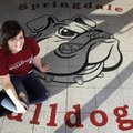 Springdale High’s Sarah Chewning is the two-time defending state champion in diving and has been div...