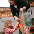 Samantha Thompson, a second-grader at Happy Hollow Elementary School in Fayetteville, watches with o...