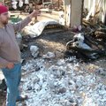 Soot-stained fingers and these molds among the rubble are remnants of the fire at Raymond Gibby’s fo...