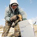 A hound named Bo gives a frozen minnow a sniff as Josh Powell baits his hook for crappie fishing dur...