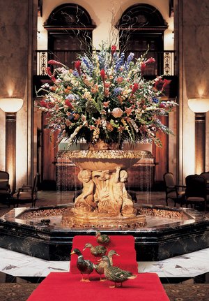 Tourists flock to see the ducks march from their “palace” on the roof to their daytime home in the fountain at the Peabody Hotel.