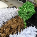 Melissa Dodd loads artificial Christmas trees into a pickup Tuesday in front of Perfect Choice Gifts...