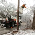 Daniel Factor with Asplundh Tree Experts cuts down tree limbs on power lines in January 2009 along S...