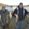 Scotty Patton of Springdale, left, and Tony Anderson of Lowell show four bass from their winning cat...