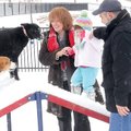 Lynne and Joe Dinas walk their granddaughter Haley Harris, 2, up a ramp to play with their dogs Sund...