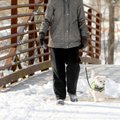 WINTER WALK: Leila Salling takes her dog, Tessa, for a walk during Tuesday’s 25-degree weather along...