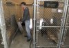 Ernie Ward cleans a dog kennel Thursday at the Bella Vista Animal Shelter. Workers make sure the animals have fresh water and plenty of food to help protect the animals against extreme cold.