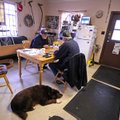 Albert Lehman, left, of Fayetteville, and Bud Sullivan of Elkins play gin rummy Thursday at the Lake...