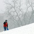 Connor Disney, 11, pauses to eat some fresh snow Friday, Jan. 29 while sledding with family and frie...