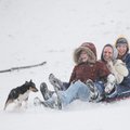 Holly Roberts, from left, Page Barnes, and Shana Paul sled at Wilson Park as Paul's dog, Marley, cha...