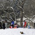 WINTER WONDERLAND - Families crowd onto a hilltop at County Club Golf Course while enjoying an after...