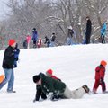 Dozens of sledders slide down and climb back up a hill Saturday at J.B. Hunt park in Springdale. The...