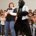 PUNXSUTAWNEY PRIMATE - Third-grade teacher Terri Johnson dances with a big gorilla in the annual Gro...