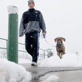 Eric Schaefer walks his adopted dog Mocha in Memorial Park in Bentonville on Monday, Feb. 8. Schaefe...
