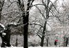  Arkansas Democrat-Gazette/WILLIAM MOORE
***PREFERENCE***
A student adds a touch of red against a black and white landscape as she holds an umbrella to avoid the falling snow while walking across the lawn in front of Old Main on their way back to their car Monday, February 8, 2010 on the University of Arkansas campus in Fayetteville.