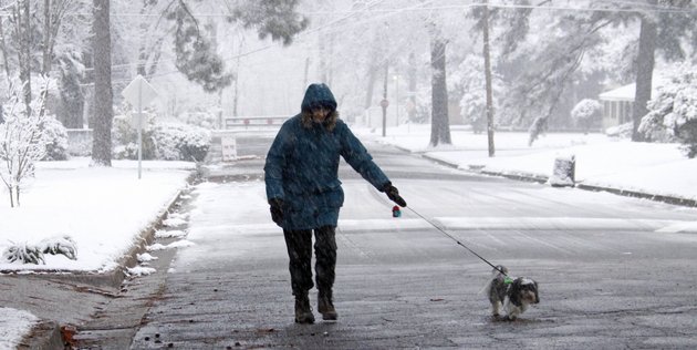 dixie-manning-and-her-dog-everest-take-their-morning-walk-in-the-snow-and-ice-that-coat-jackson-miss-on-friday-morning