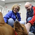 PET AND GREET - Tim and Carrie Costello of Bentonville get to know Delphi, a Staffordshire terrier m...