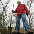 Planting trees Operating director Gerald Klingaman plants deciduous holly trees Monday at the Botani...