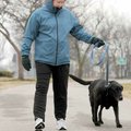 Cheryl Williams walks Casey, her 12-year-old black Labrador, through Memorial Park in Bentonville on...