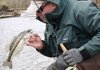 Rusty Pruitt of Benton admires a colorful spotted, or Kentucky, bass caught Monday at the confluence of the Caddo River and the South Fork of the Caddo River.