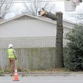 STAFF PHOTO DAVID FRANK DEMPSEY 
Bentonville Electric Department employee Tommy Hinkle watches as c...