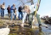 Ecologist Sarah Lewis, a member of the Fayetteville City Council, collects organisms Saturday in College Branch on the University of Arkansas campus, while conducting a portion of a streamside protection and education workshop ahead of an effort to adopt a stream-side protection ordinance in Fayetteville.
